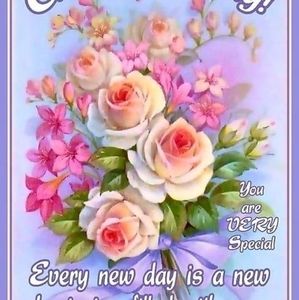 Meet your Posher, Paula